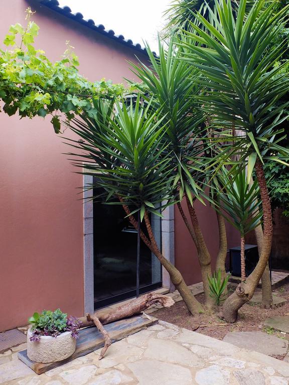 Family Secrets Santo Andre Villa